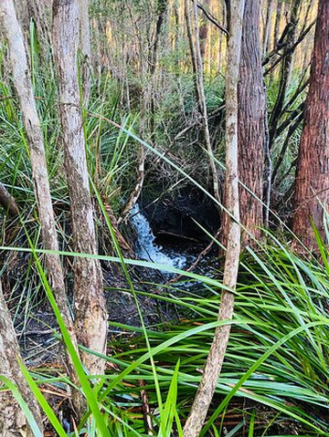 South Cape Bay-Southwest National Park必去景点