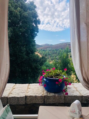 B&B Il Giardino Di Daniela-官方