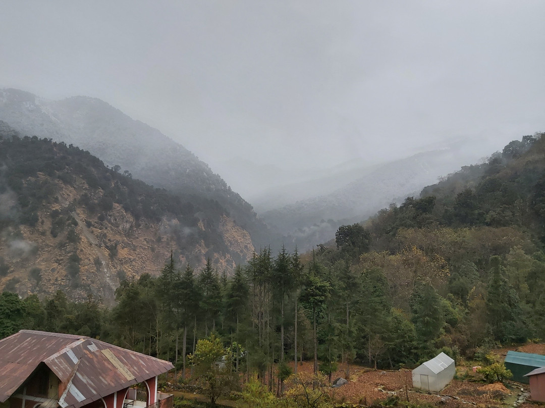 The Bunker House主图