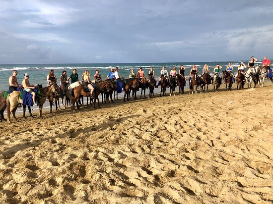 Rancho Salvaje-普拉塔港必去景点