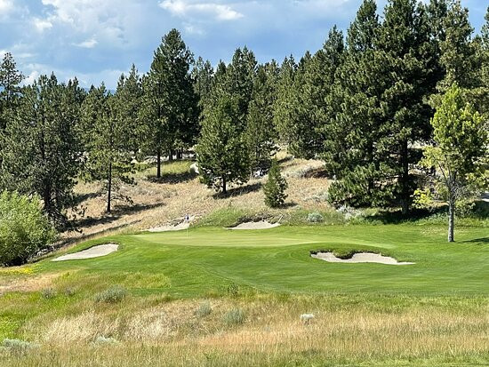 Wilderness Club Resort主图