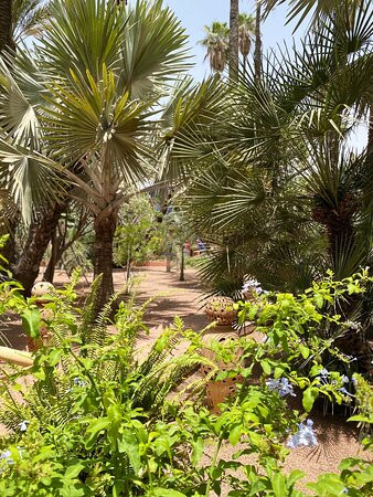Excursions Tours Marrakesh-马拉喀什必去景点
