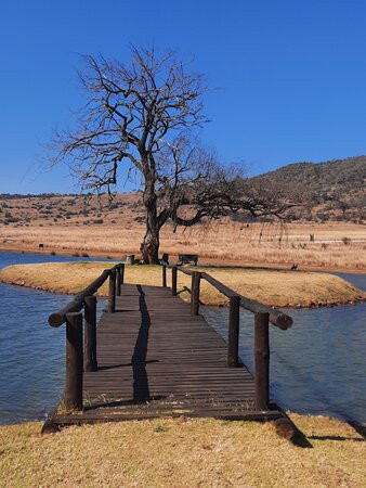 Doornkop Fish and Wildlife Resort景点图片
