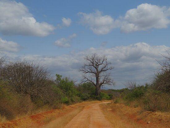 Meru National Park KENYA景点图片