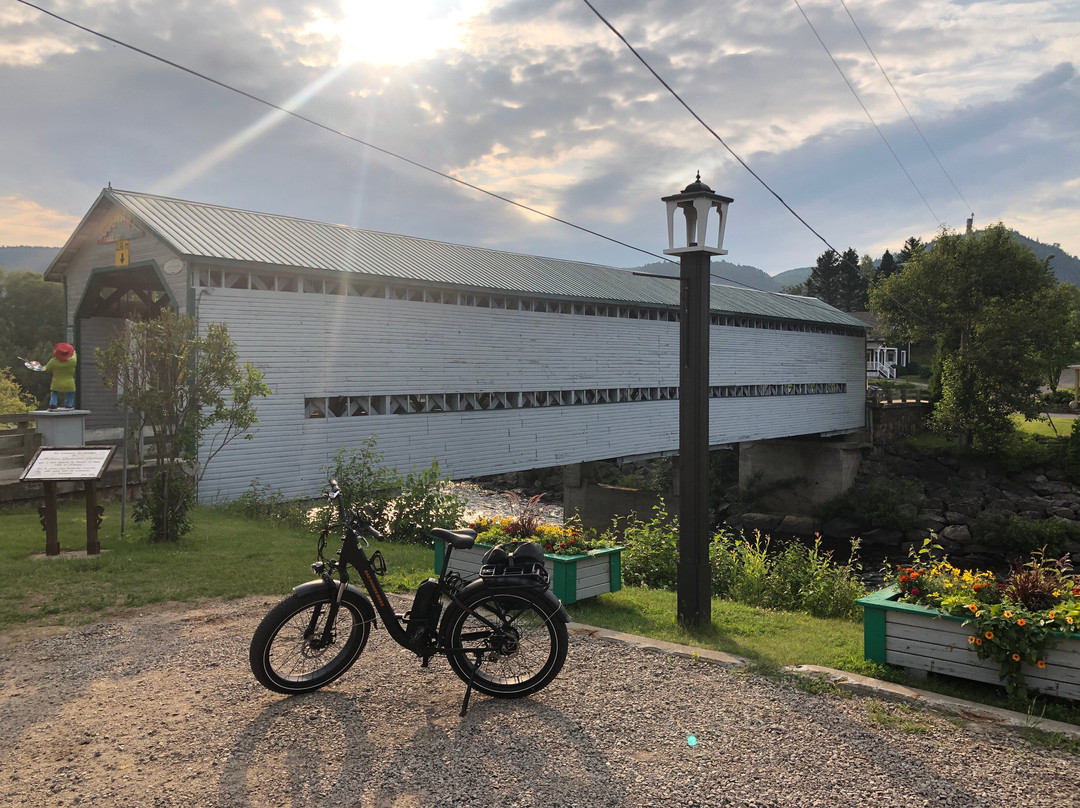 Vélo Fjord景点图片