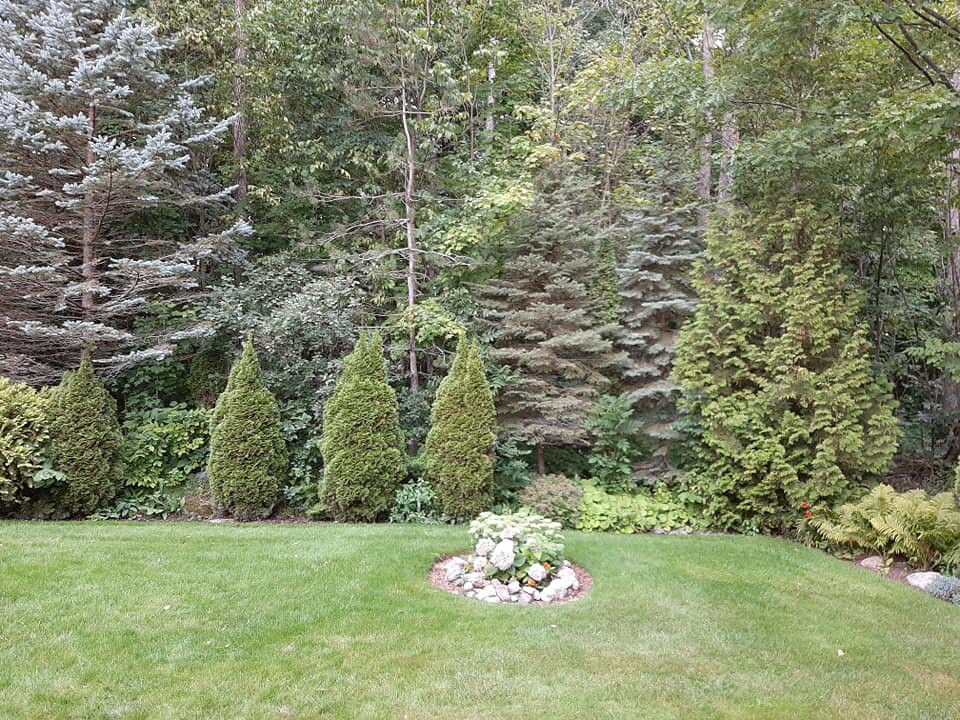 Tucked Inn the Harbour B&B主图