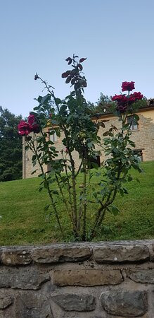 Agriturismo La Ferraia主图