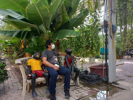 World Flower Botanical Garden-牙山市必去景点