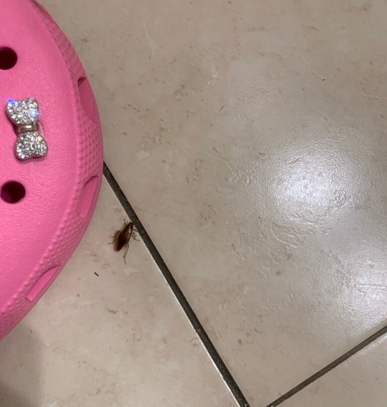 Verdanza Hotel主图