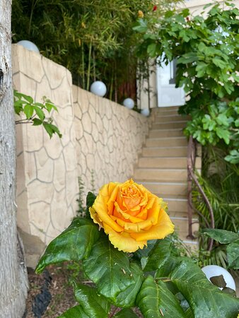 Hotel IvaMaria-官方