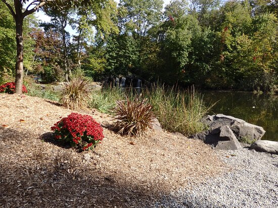 Franklin Lakes Nature Preserve景点图片