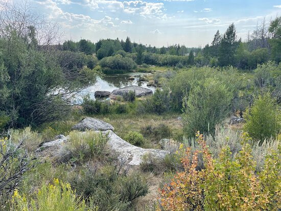 CCC Ponds Recreation Area景点图片