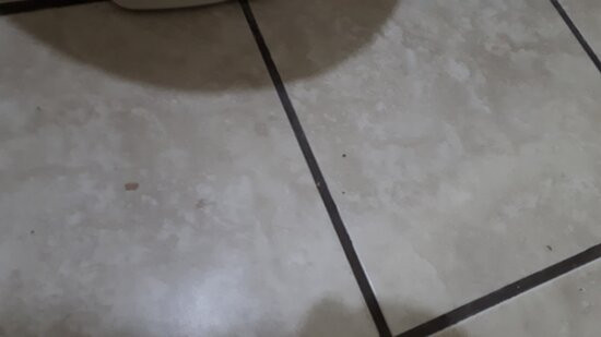 Super 8 by Wyndham Kirkland Lake主图