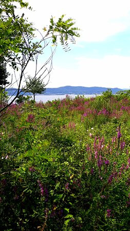 Croton Landing Park景点图片