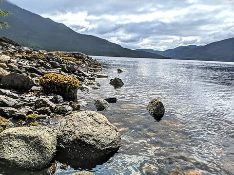 Inn on the Harbour主图