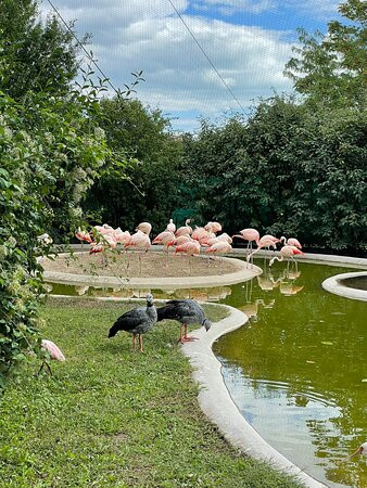 Veszprem Zoo景点图片