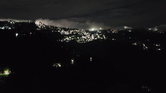 The Bodhi Tree BNB主图