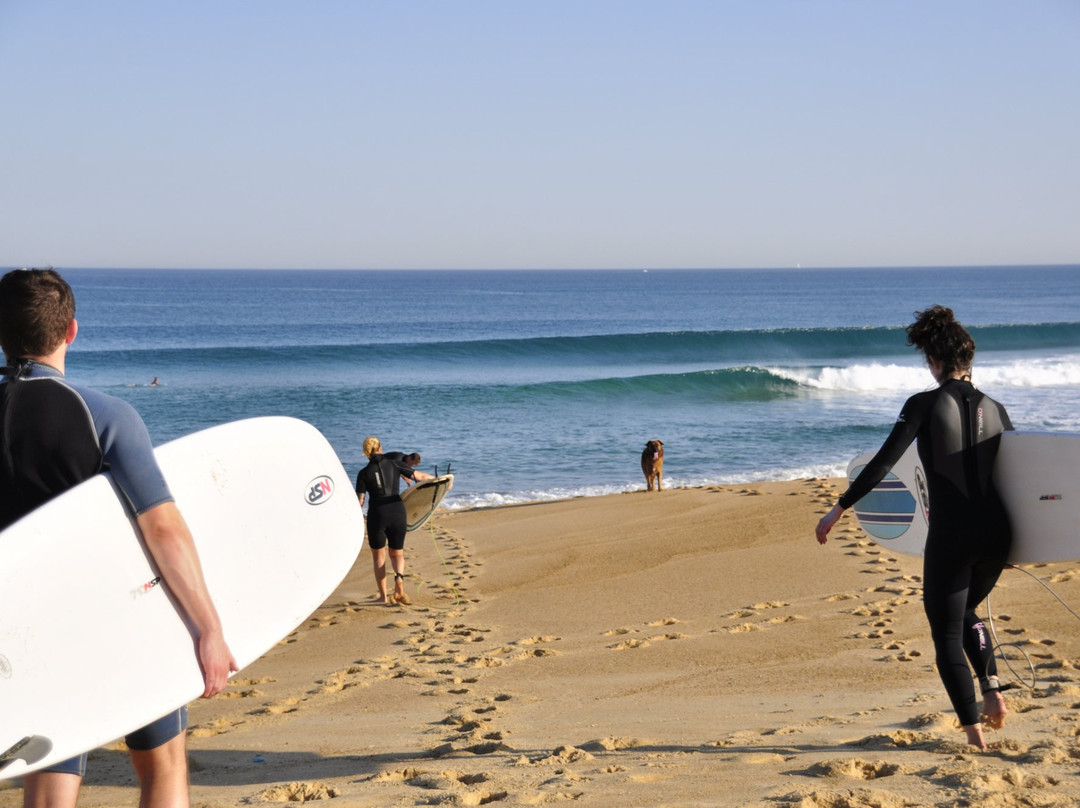 Shifting Sands Surf House
