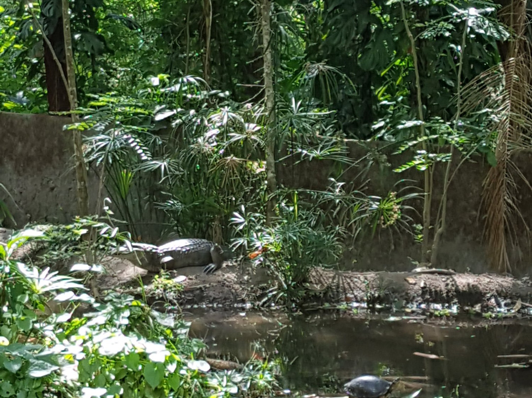 Paso del Mango旅游攻略图片