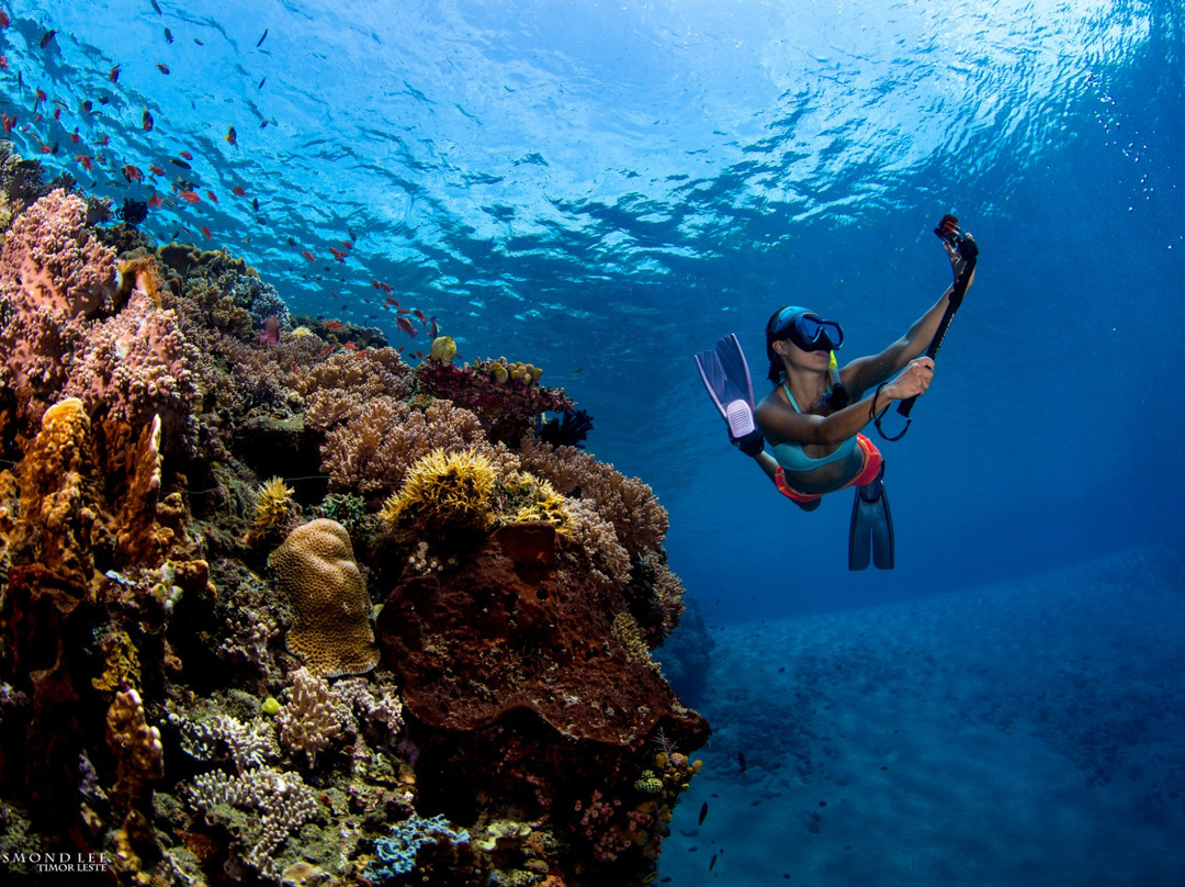 Aquatica Dive Resort景点图片