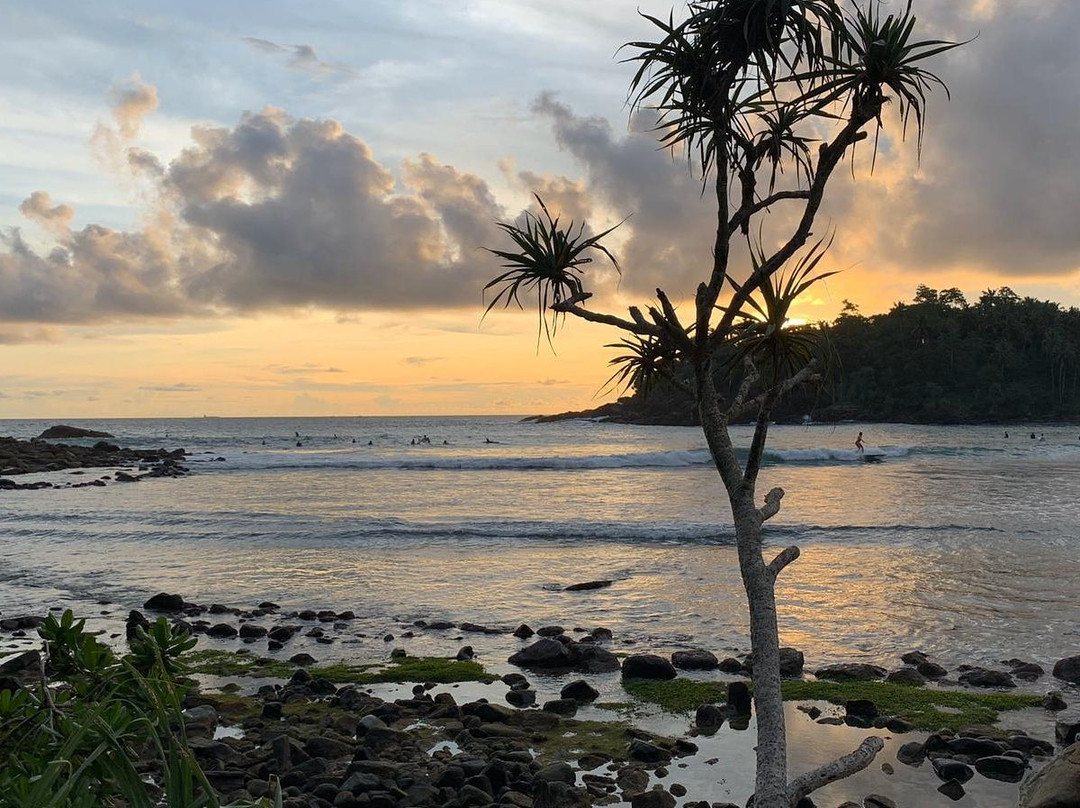 Toursrilankawb-埃勒必去景点