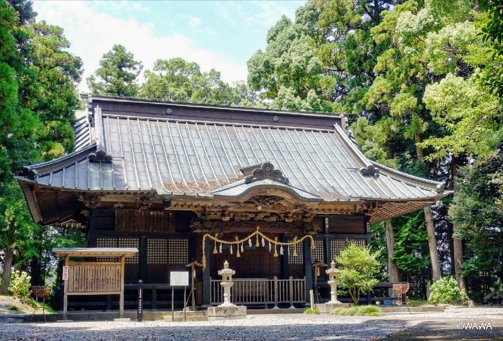 Ashigara Shrine景点图片