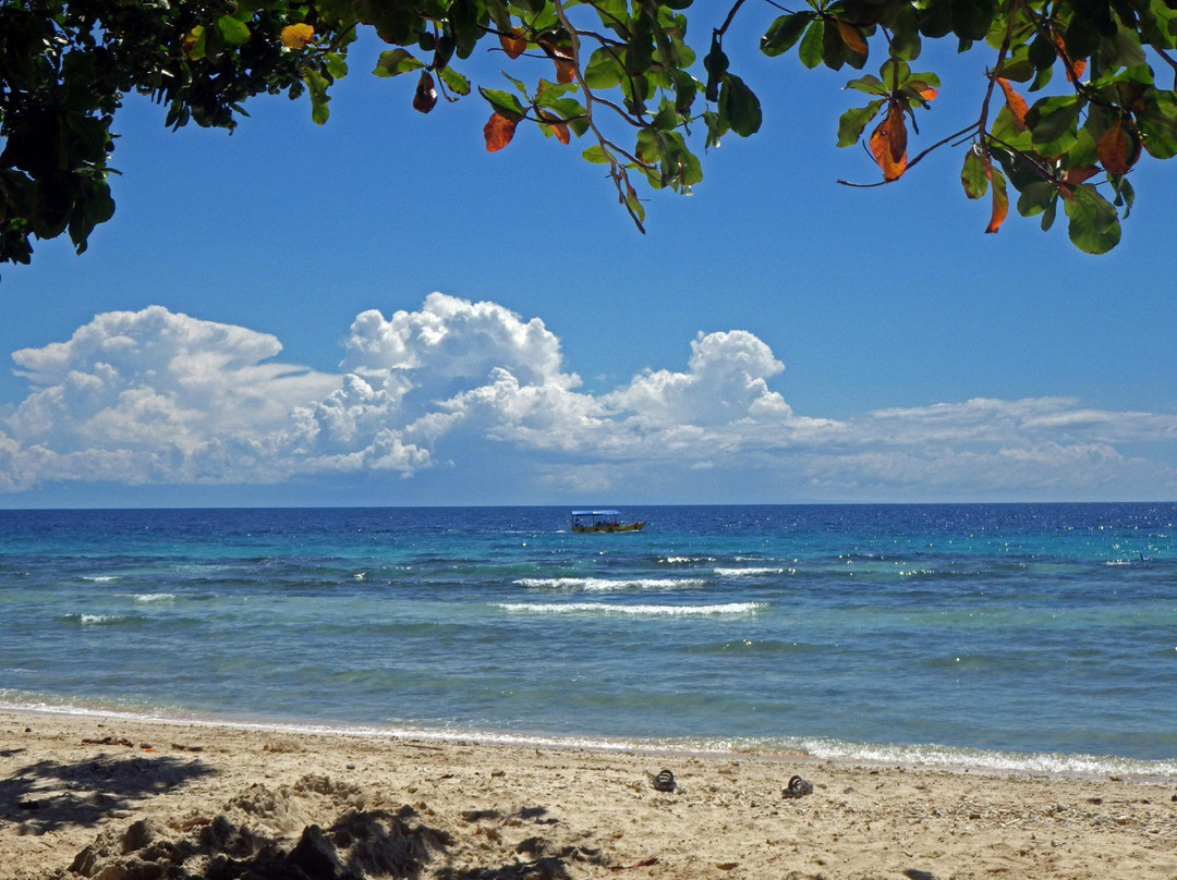 Hapitanan Beach景点图片