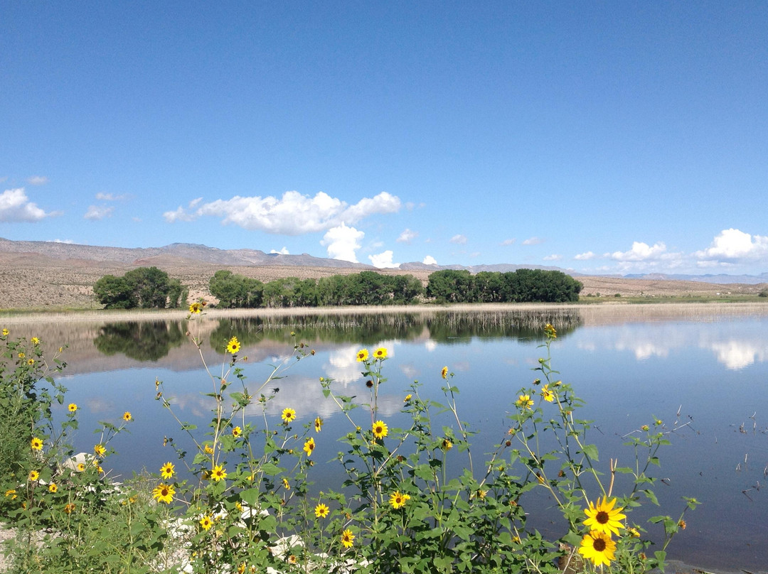 Alamo旅游攻略图片