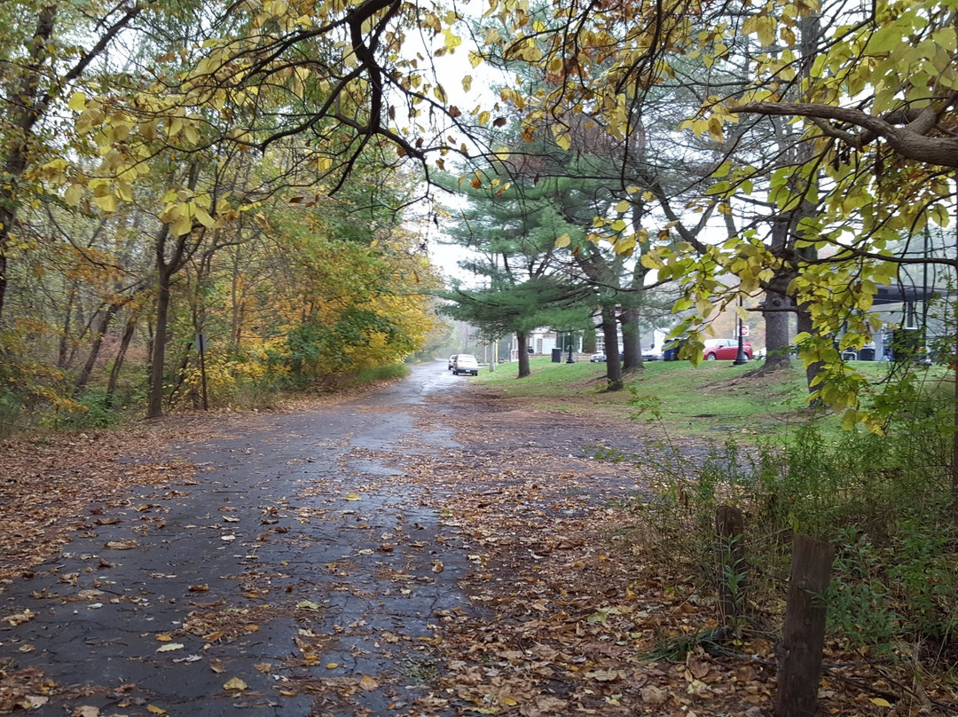 诺斯黑文旅游攻略图片