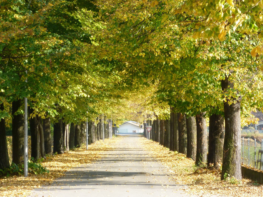 Giavera del Montello旅游攻略图片