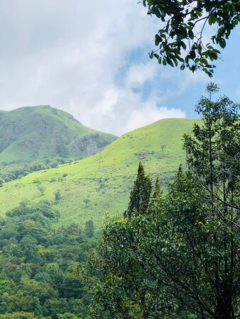 Thusharagiri Waterfalls景点图片