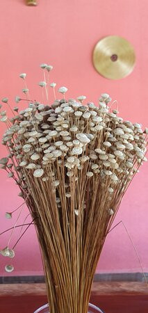 Pousada Capim Dourado Ponte Alta主图