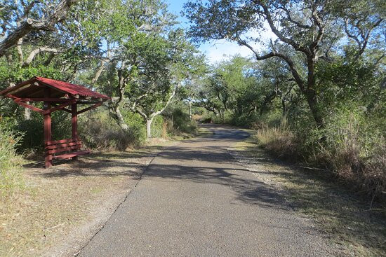 Memorial Park-罗克波特必去景点