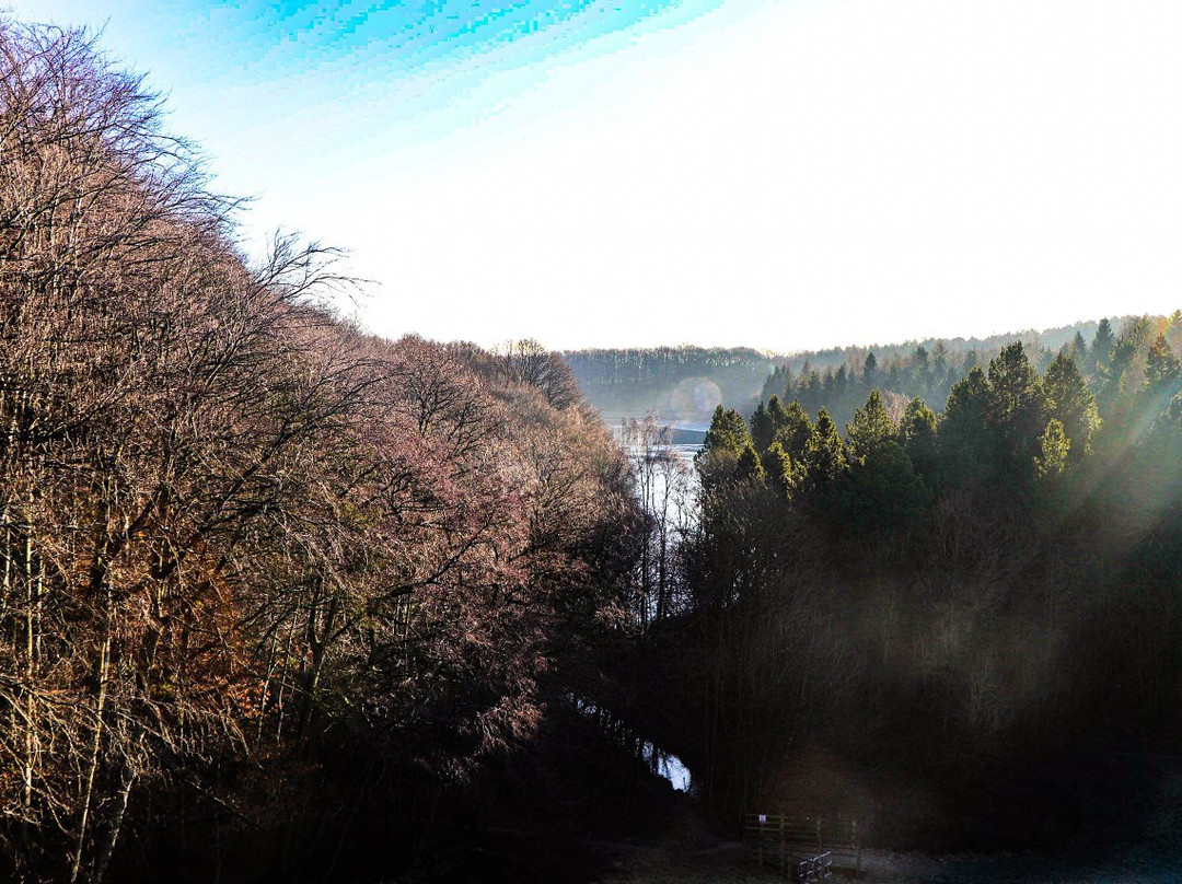 Linacre Reservoirs-切斯特菲尔德必去景点