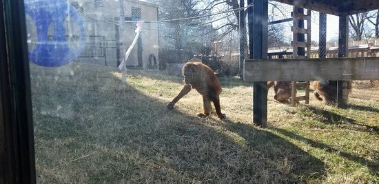 Topeka Zoo and Conservation Center-托皮卡必去景点