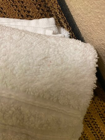 Extended Stay America - Washington, D.C. - Germantown - Milestone主图