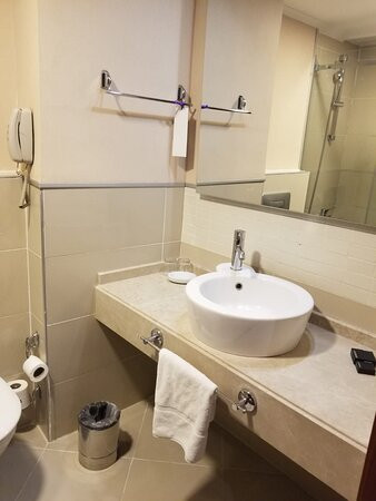 Anemon Eskisehir Hotel主图