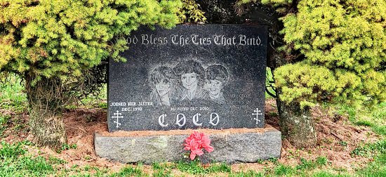 St. John the Baptist Byzantine Catholic Cemetery景点图片