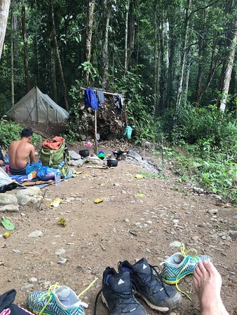 Ketambe Jungle Trekking With Alex-Ketambe必去景点