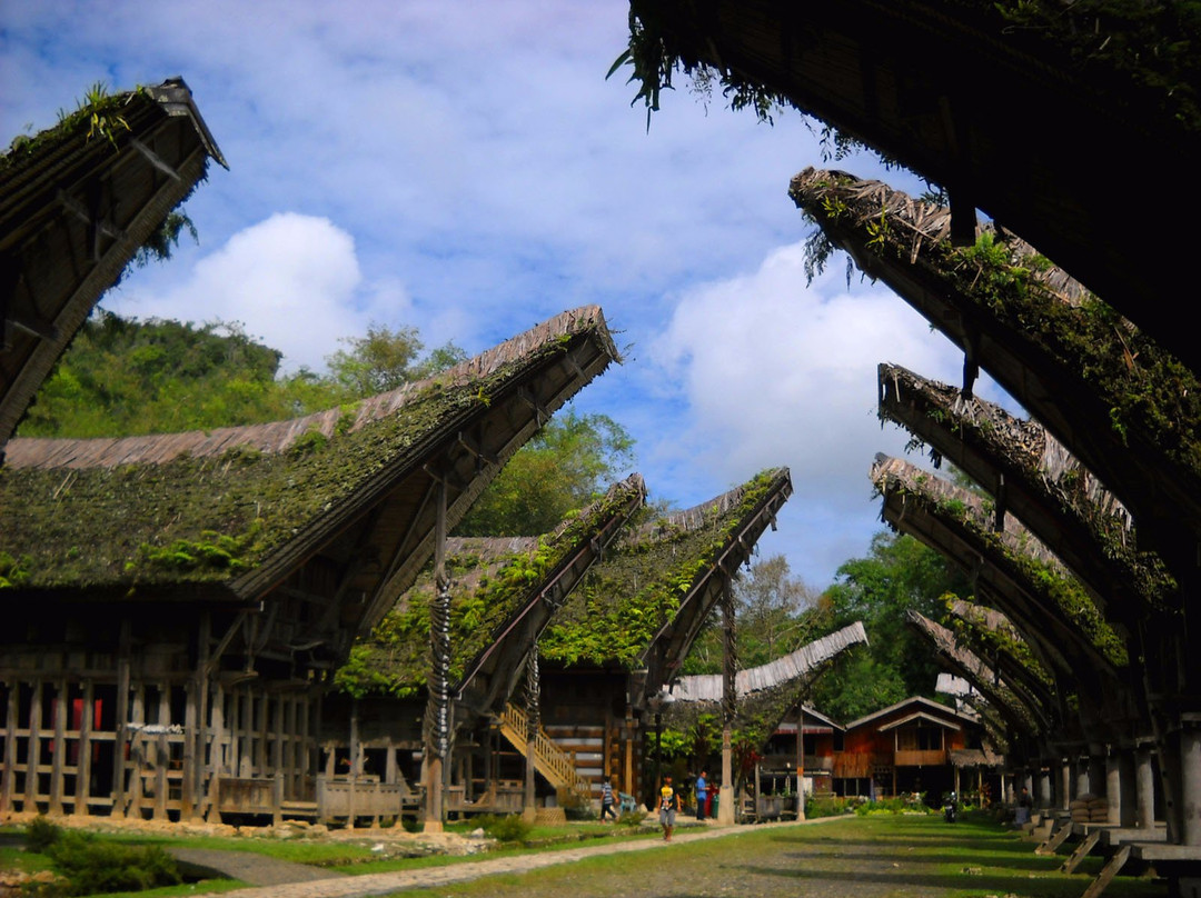 Toraja Village景点图片