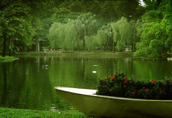 植物园景点图片