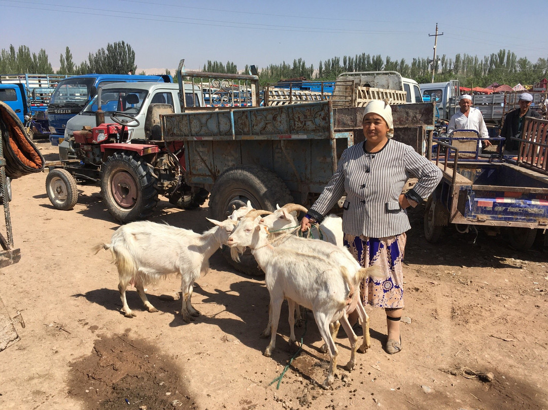 喀什葛尔牲畜市场景点图片