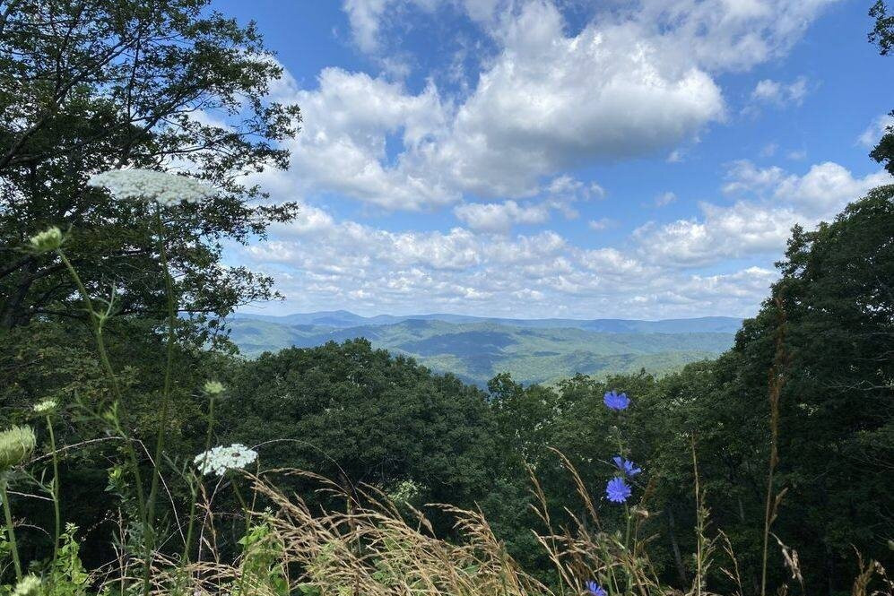 Enchanted Nature Tours inc.-斯汤顿必去景点