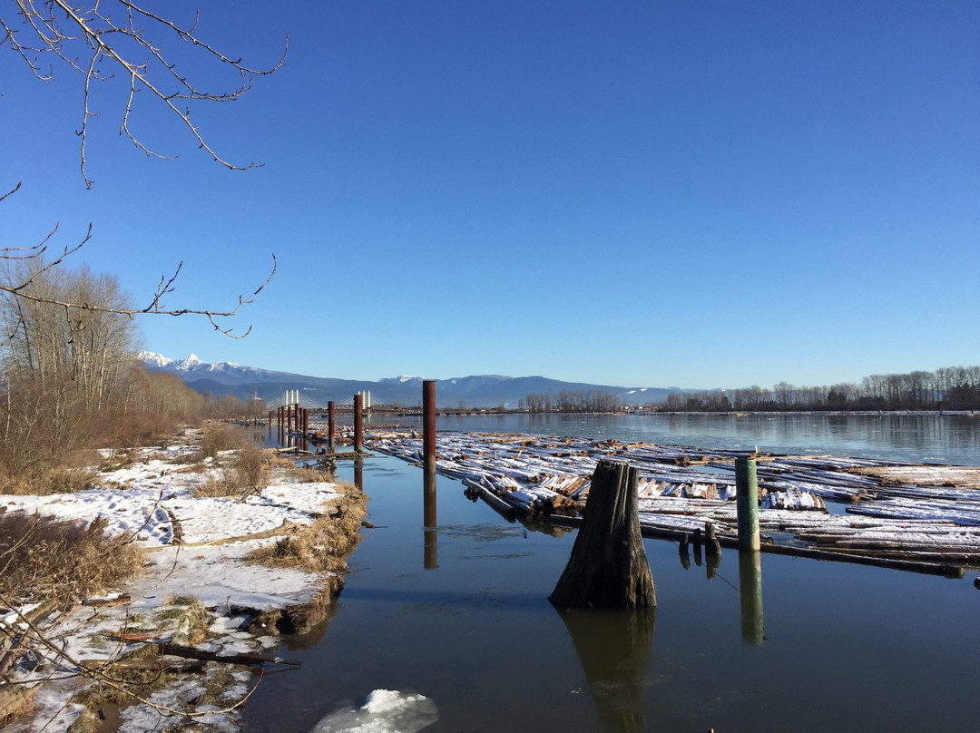 高贵林港旅游攻略图片