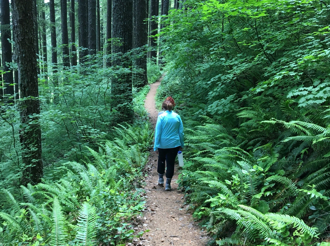 Mary's Peak Trail-Philomath必去景点