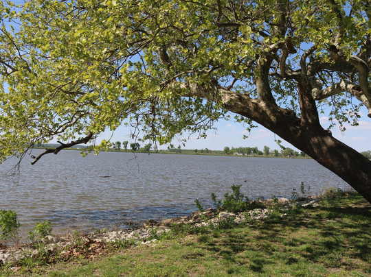 Potter旅游景点-Lewis & Clark State Park