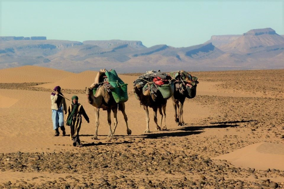 Active Treks Morocco景点图片