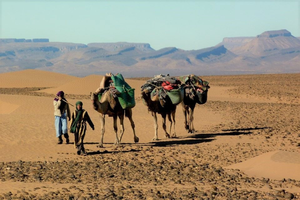 Active Treks Morocco-马拉喀什必去景点