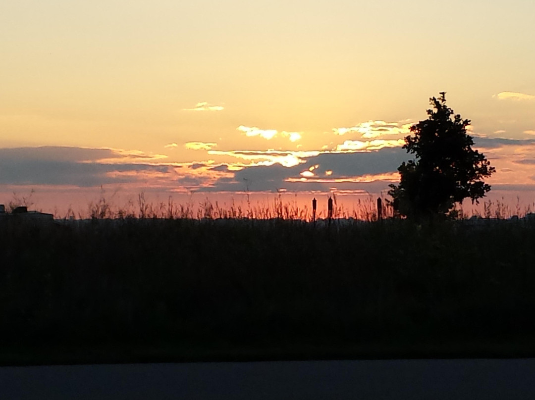 Lac qui Parle State Park景点图片