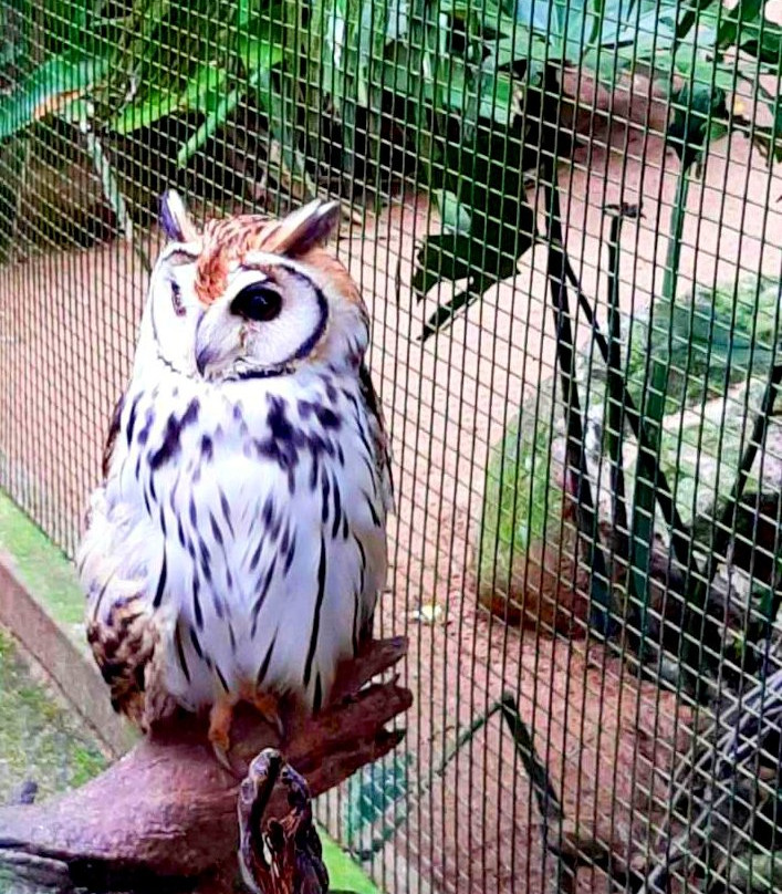 Zooparque-Itatiba必去景点